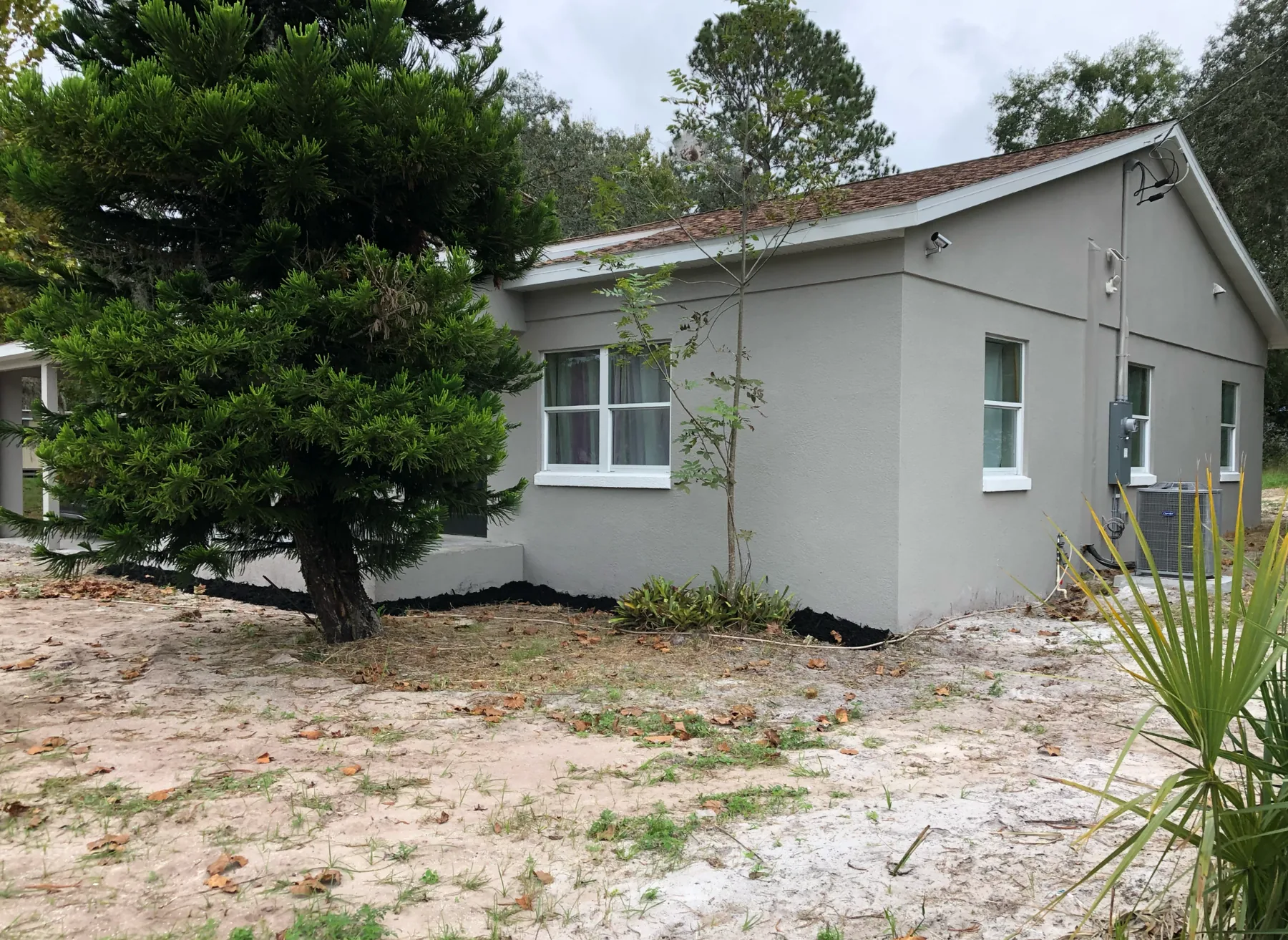 Project after rehabilitation